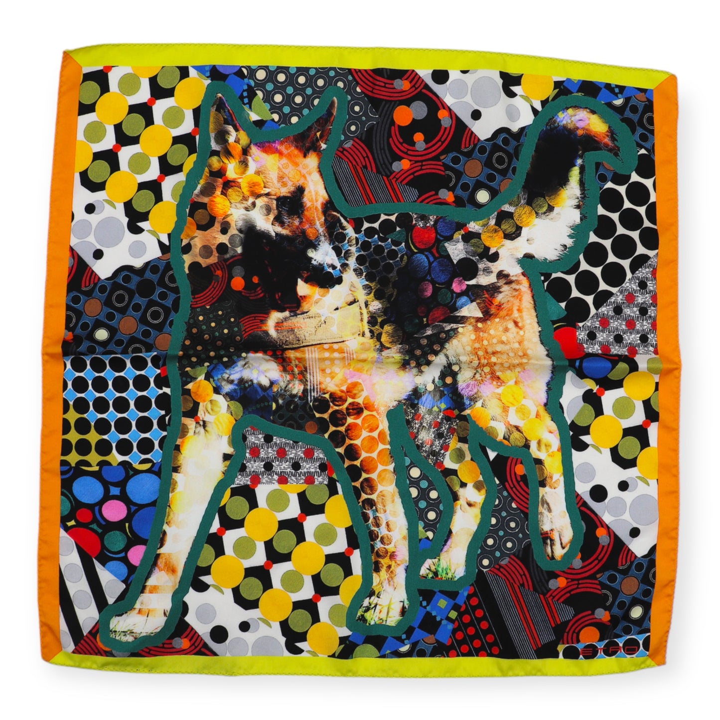 Etro Einstecktuch multicolor
