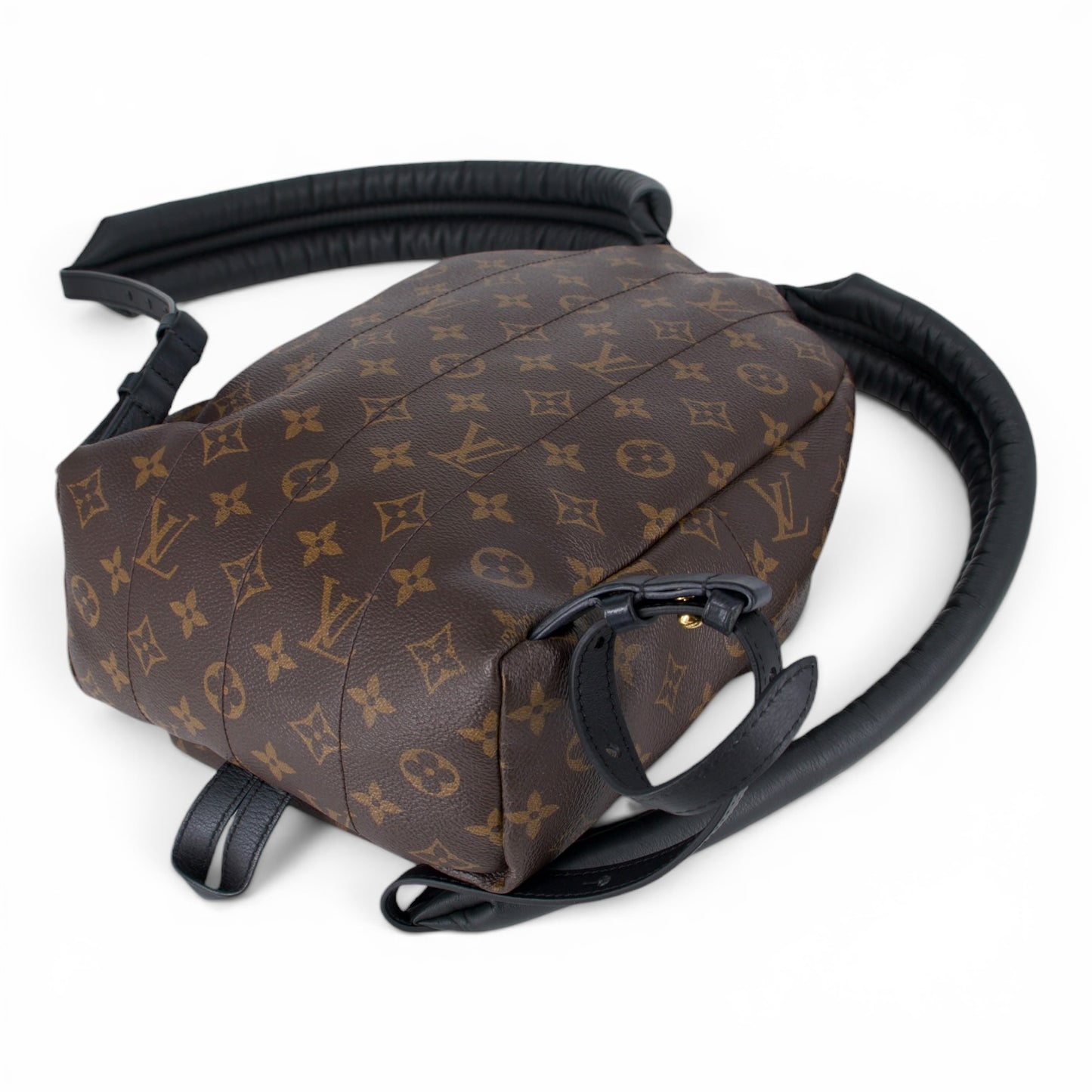 Louis Vuitton Palm Springs PM Monogram