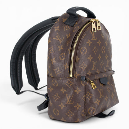 Louis Vuitton Palm Springs PM Monogram