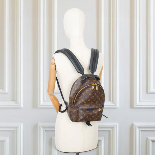 Louis Vuitton Palm Springs PM Monogram