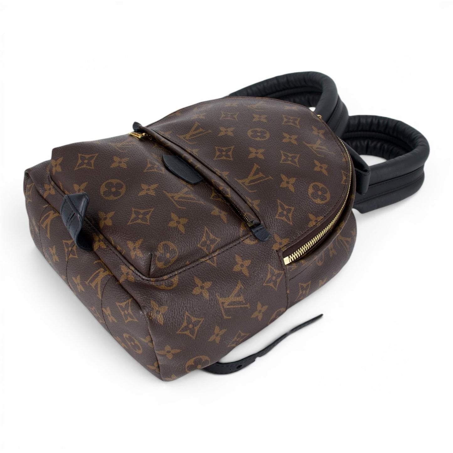 Louis Vuitton Palm Springs PM Monogram