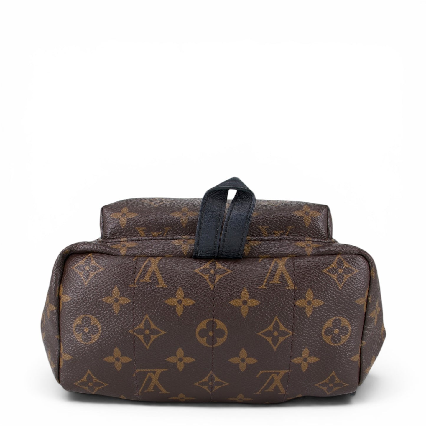Louis Vuitton Palm Springs PM Monogram