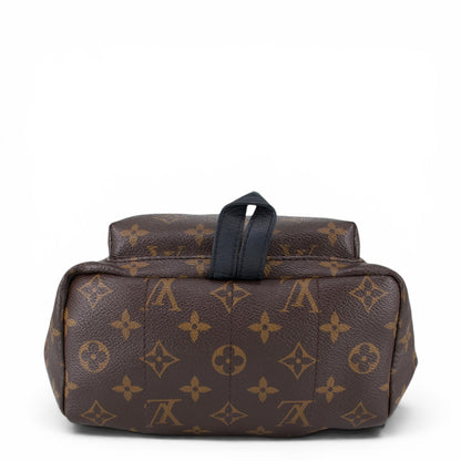 Louis Vuitton Palm Springs PM Monogram