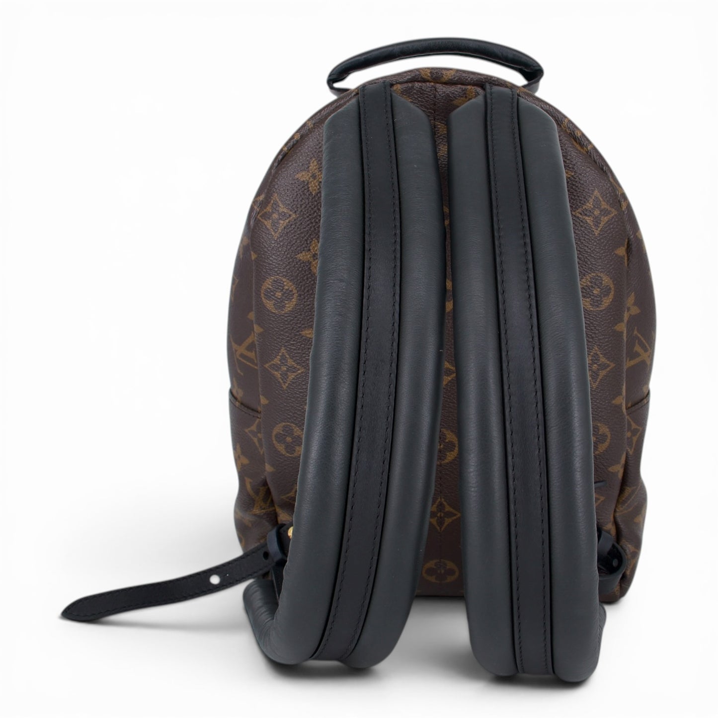 Louis Vuitton Palm Springs PM Monogram