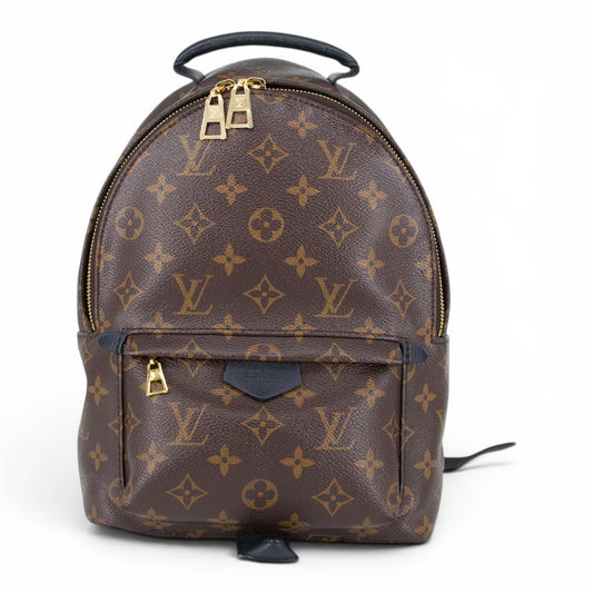 Louis Vuitton Palm Springs PM Monogram