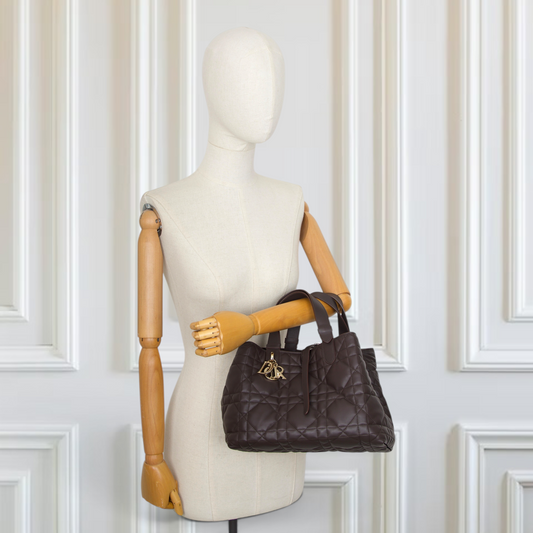 Dior Medium Toujours Chocolat