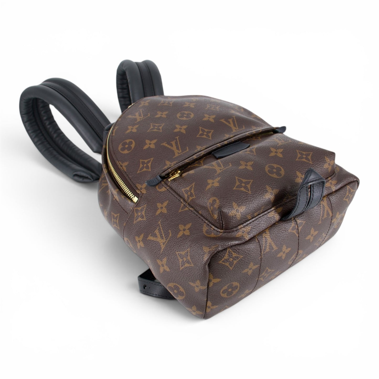 Louis Vuitton Palm Springs PM Monogram