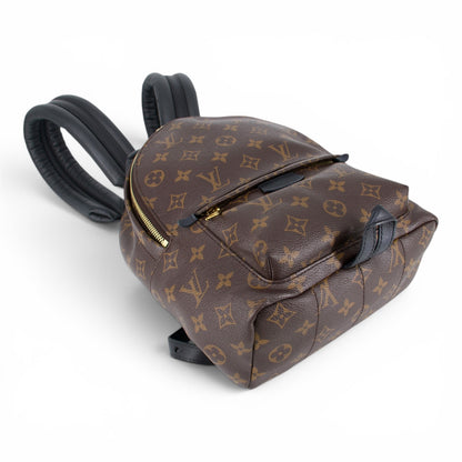 Louis Vuitton Palm Springs PM Monogram