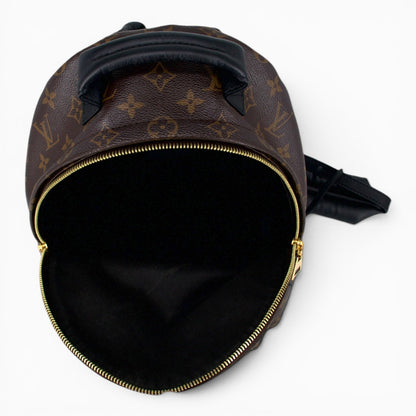 Louis Vuitton Palm Springs PM Monogram