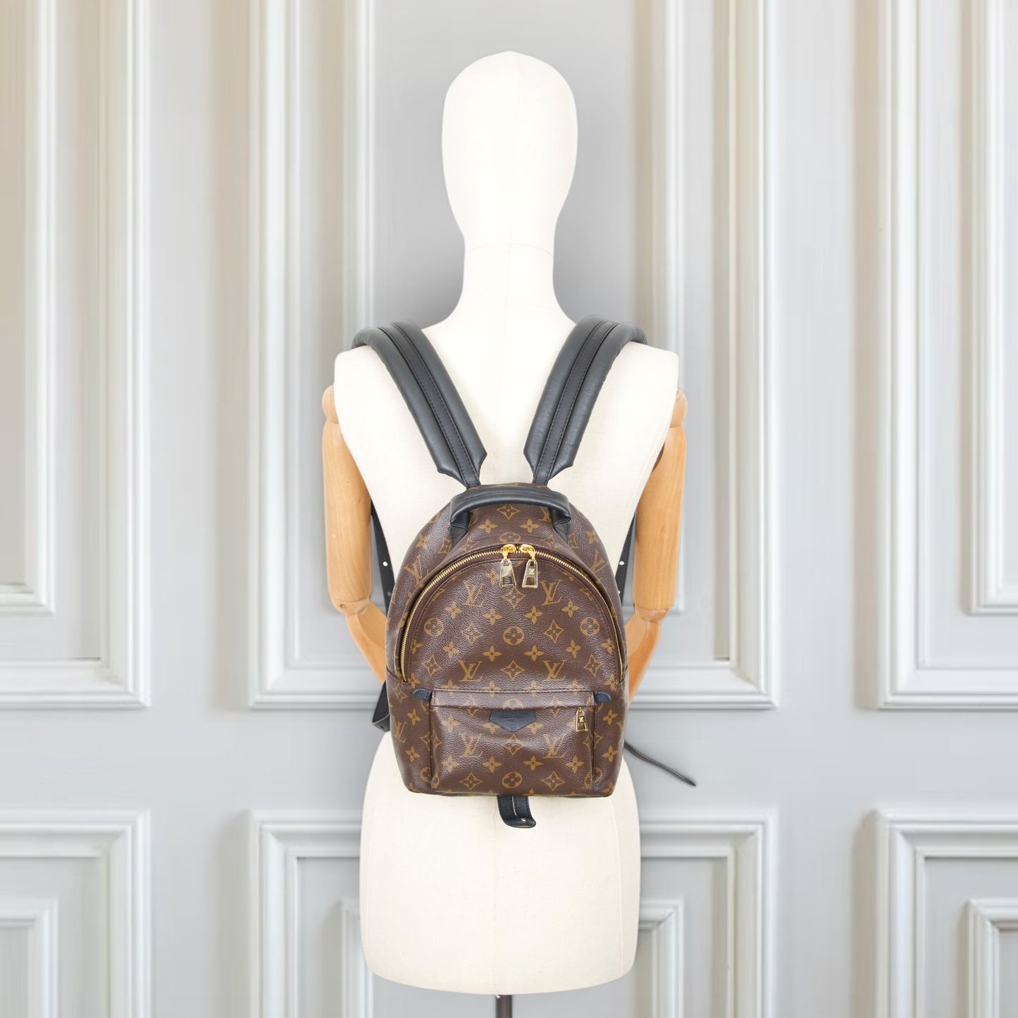 Louis Vuitton Palm Springs PM Monogram