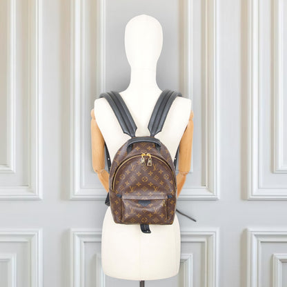 Louis Vuitton Palm Springs PM Monogram